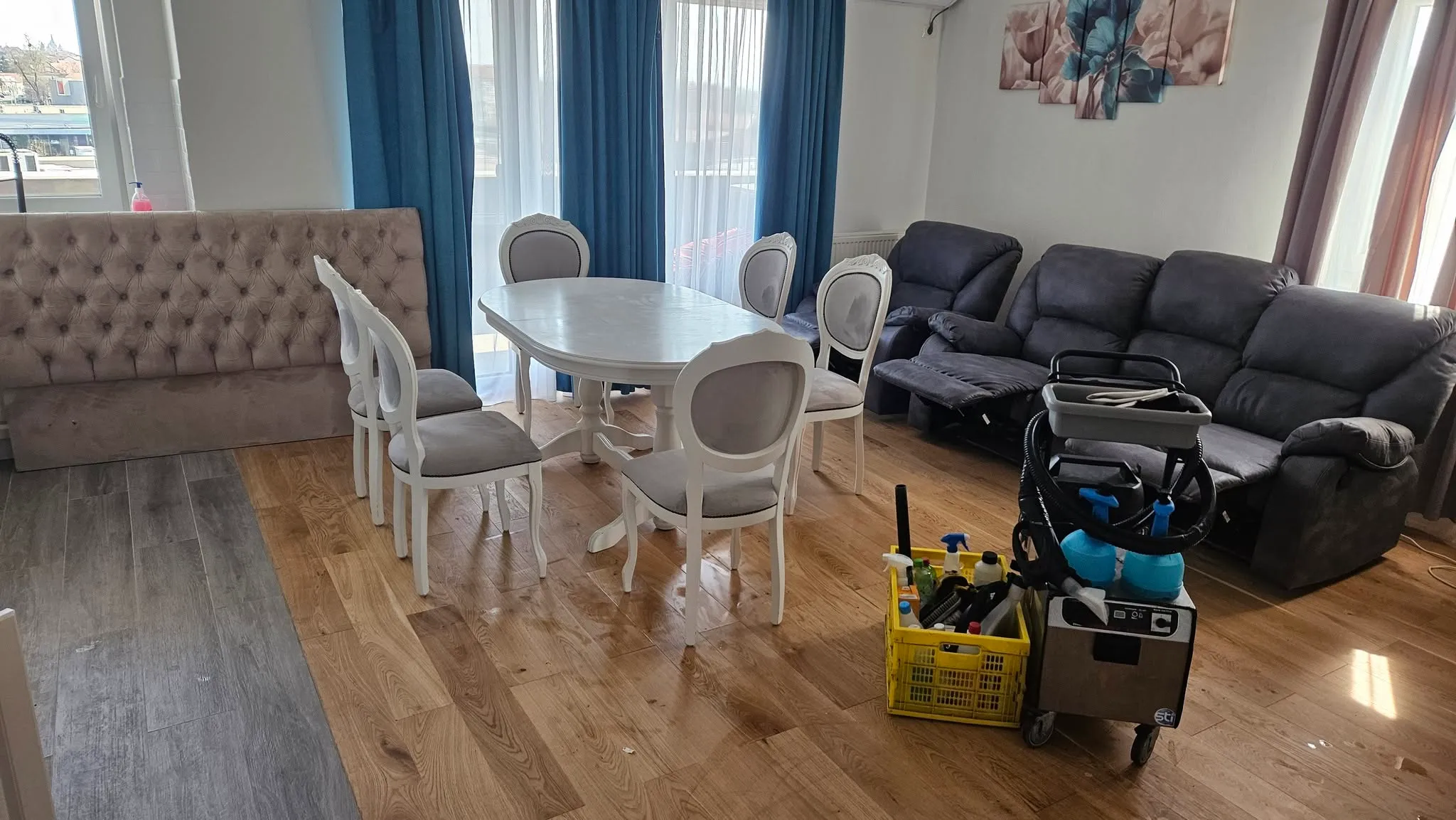 Spălare tapițerie canapea prin metoda injecție-extracție în Oradea